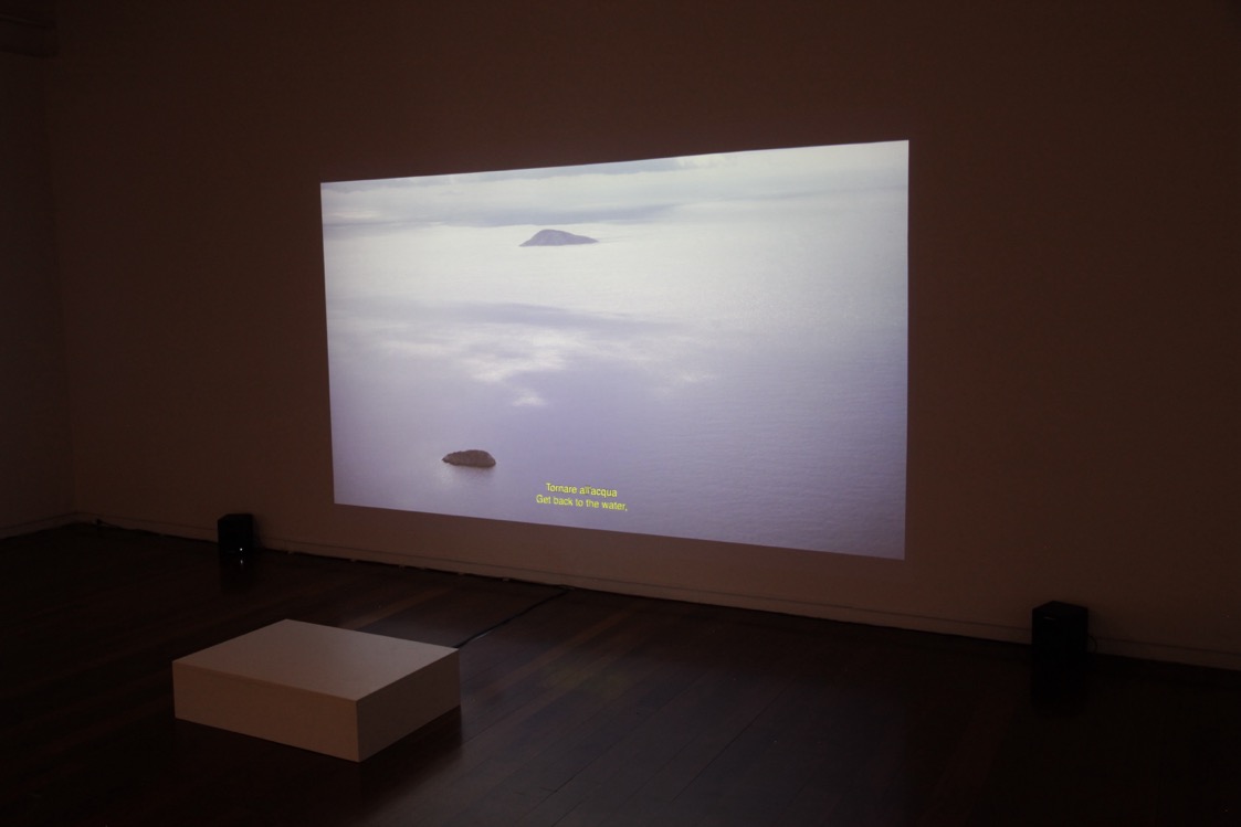 Camille Poitevin, Barbara Salomé Felgenhauer