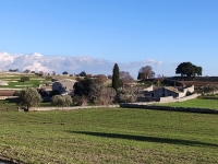 106_0a1.jpg