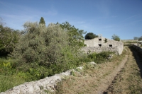 106_11.jpg