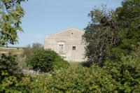 106_41.jpg